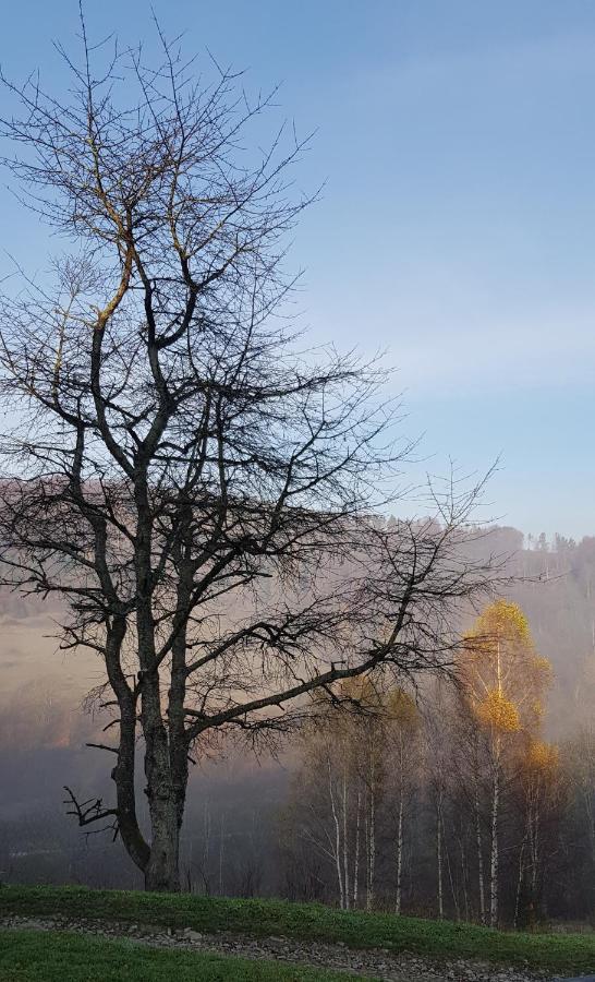 Bacowka Pttk Jaworzec Hostel Wetlina Buitenkant foto